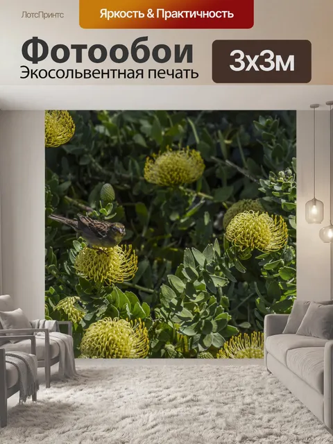 Фотообои Воробей на кивок