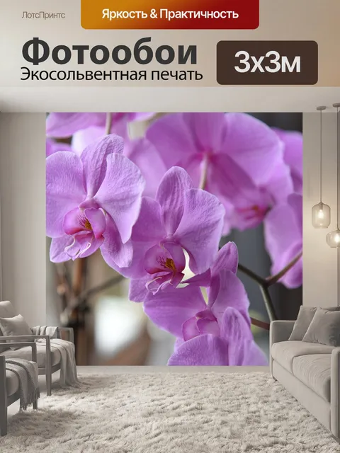 Фотообои Орхидеи