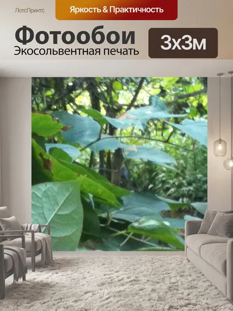 Фотообои Листья деревьев