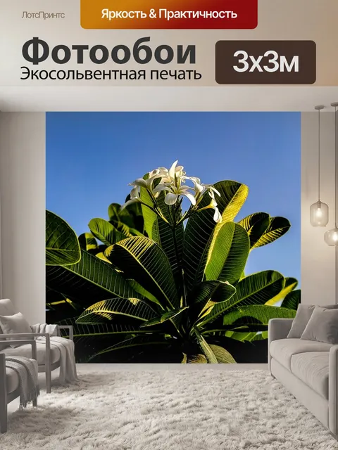 Фотообои Цветок