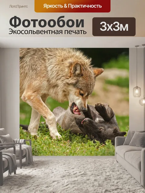 Фотообои Волки