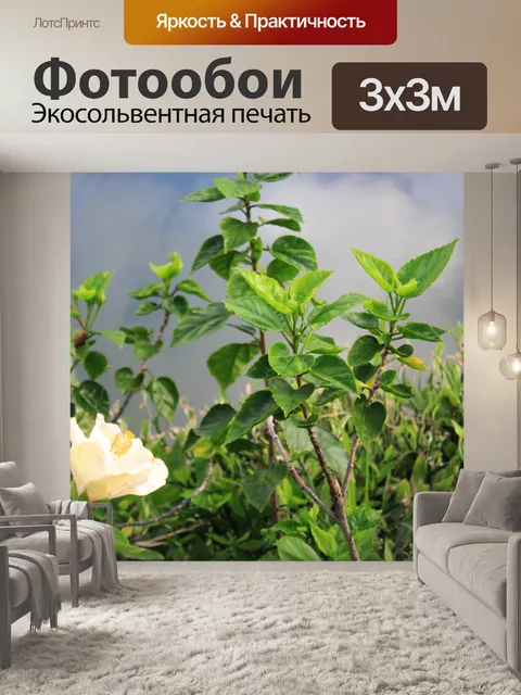 Фотообои Цветы и листья 02