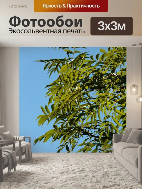 Фотообои Листья