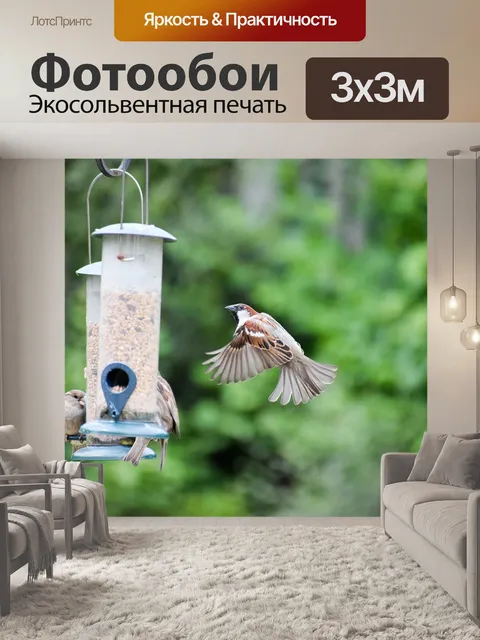 Фотообои Птица