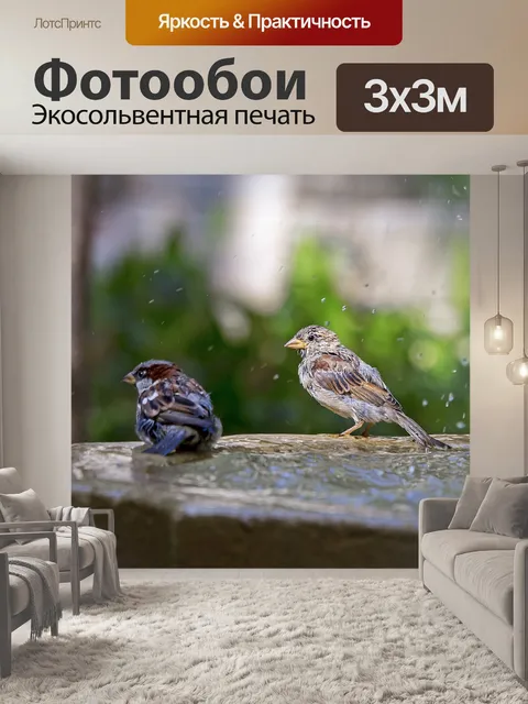 Фотообои Птицы