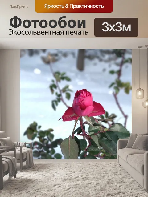 Фотообои Розовый