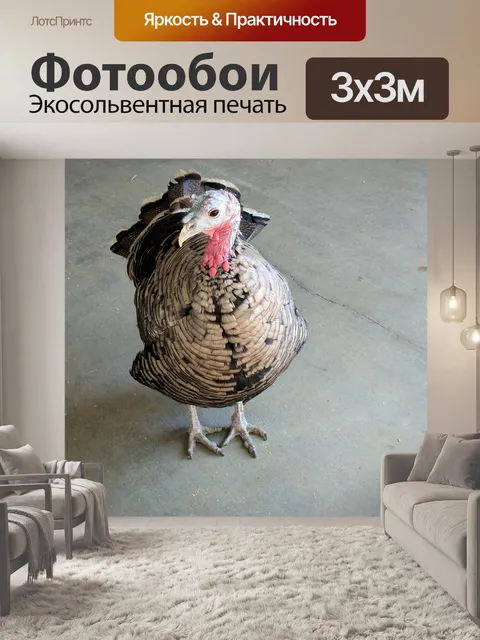 Фотообои Живая Турция