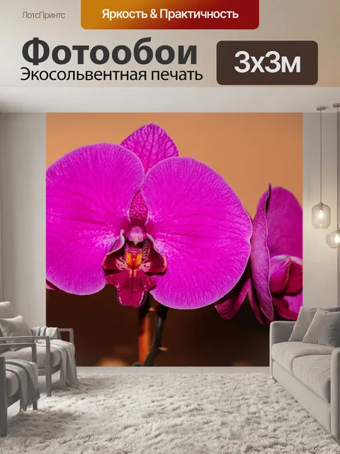 Фотообои Орхидеи