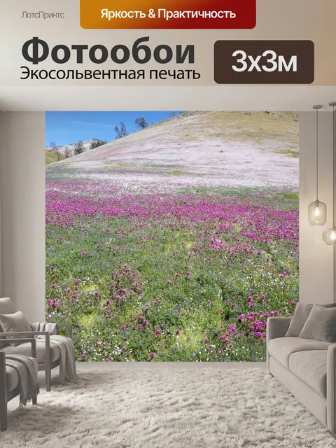 Фотообои Кернвилл, Калифорния Полевые цветы