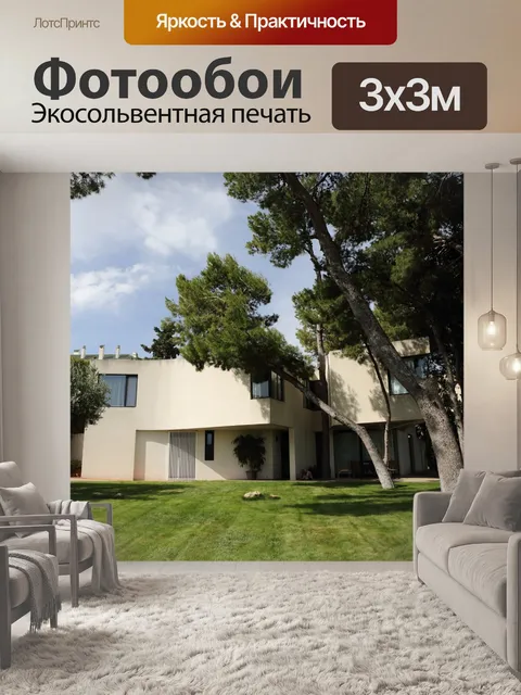 Фотообои Сосна