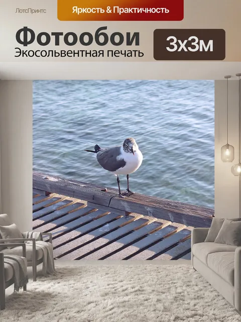Фотообои Птица