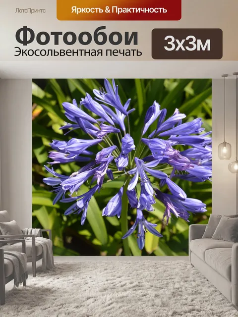 Фотообои Цветы