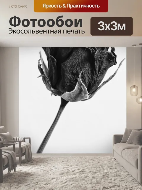 Фотообои Роуз