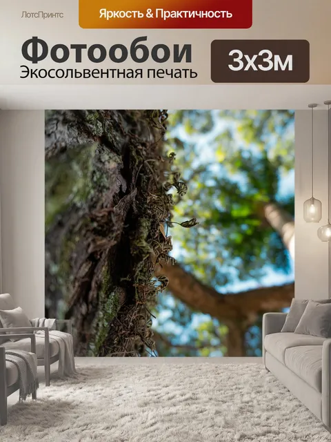 Фотообои Мох