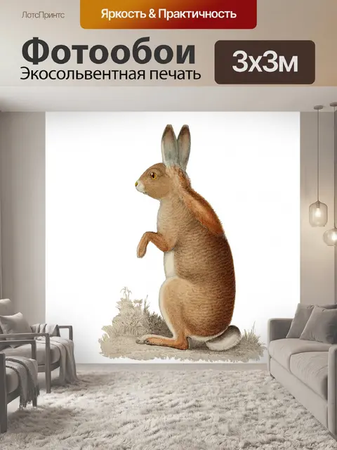 Фотообои Кролик Винтажное Искусство