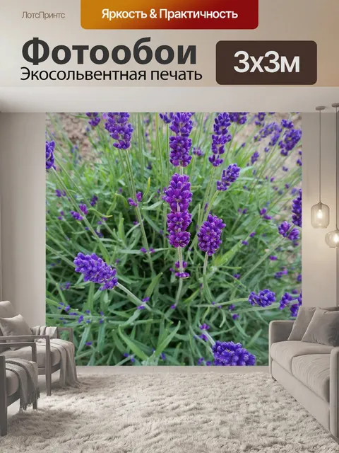 Фотообои Лаванда