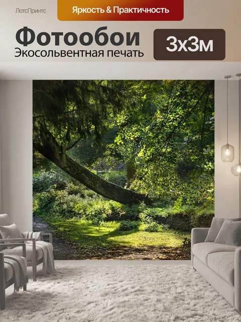 Фотообои Дорожка