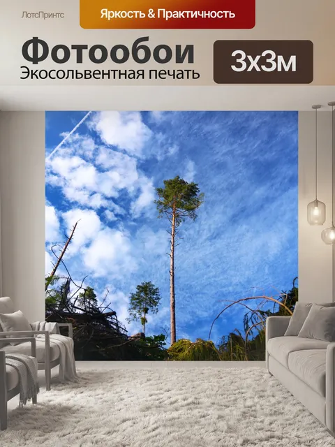 Фотообои Лес