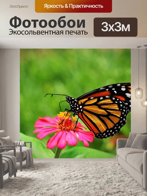 Фотообои Бабочка