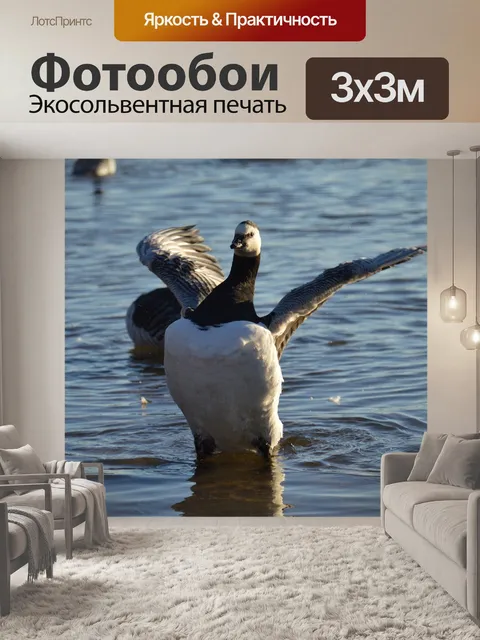 Фотообои Гусь