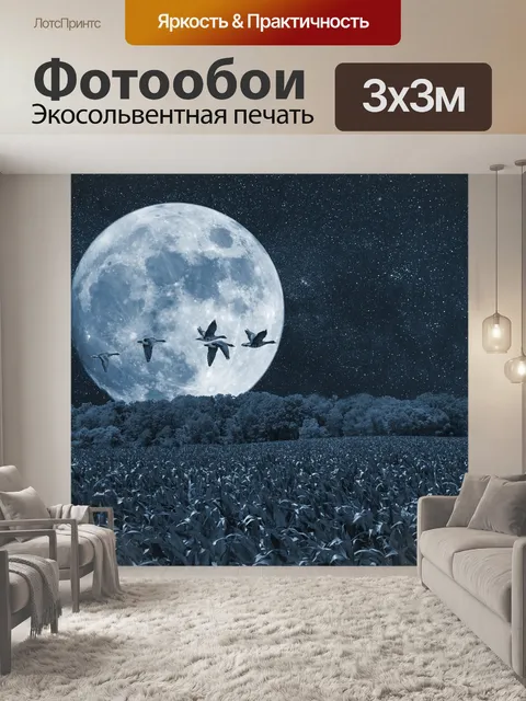 Фотообои Ночь