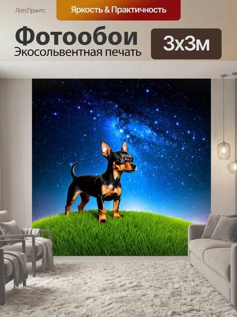Фотообои промт: "собака той-терьер стоит на травяном холме, смотря на звёздное небо ночью, покрытое яркими созвездиями