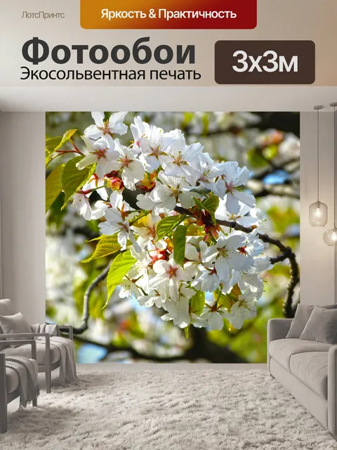 Фотообои Сакура