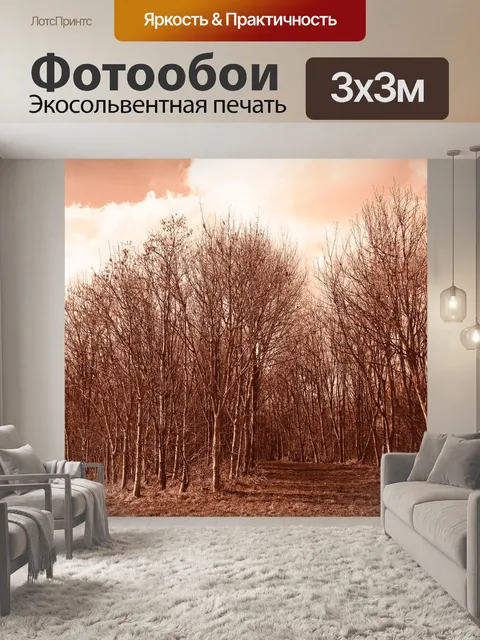 Фотообои Лес