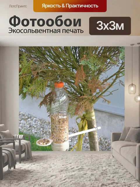 Фотообои Птица