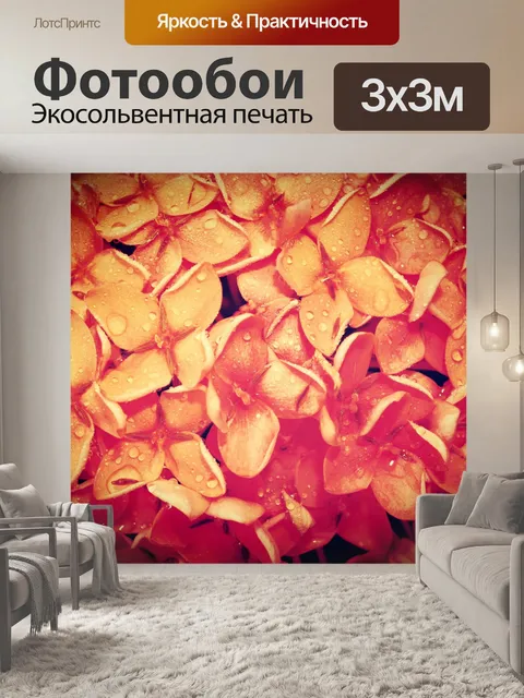 Фотообои Красивый цветок в природе