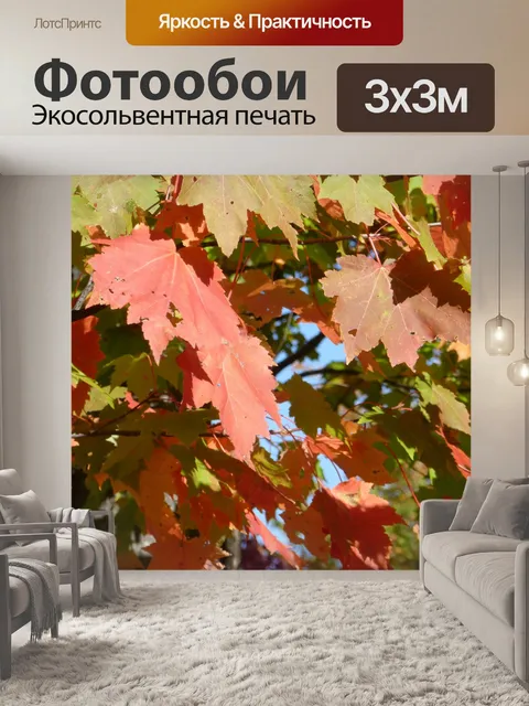 Фотообои Листья