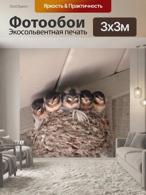 Фотообои Бармен Ласточки