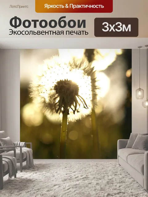 Фотообои Одуванчики