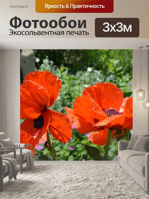 Фотообои Маки