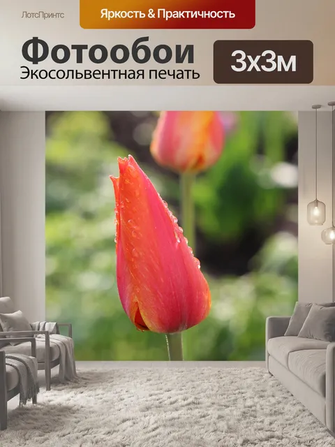 Фотообои Тюльпаны