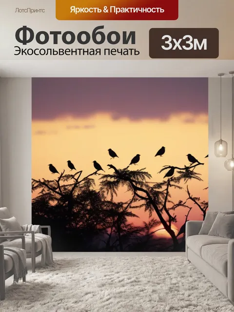 Фотообои птицы, прыгающие с ветки на ветку при рассвете