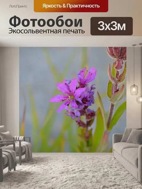 Фотообои Цветы