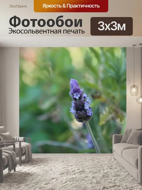 Фотообои Цветы