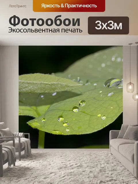 Фотообои Листья