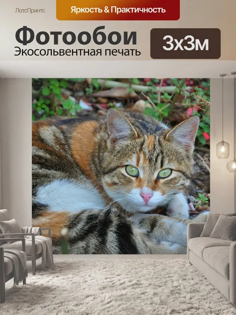 Фотообои Кошка