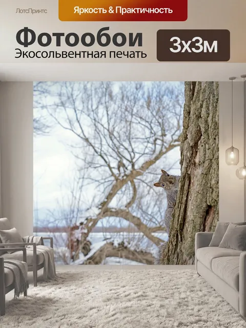 Фотообои Белка на дереве