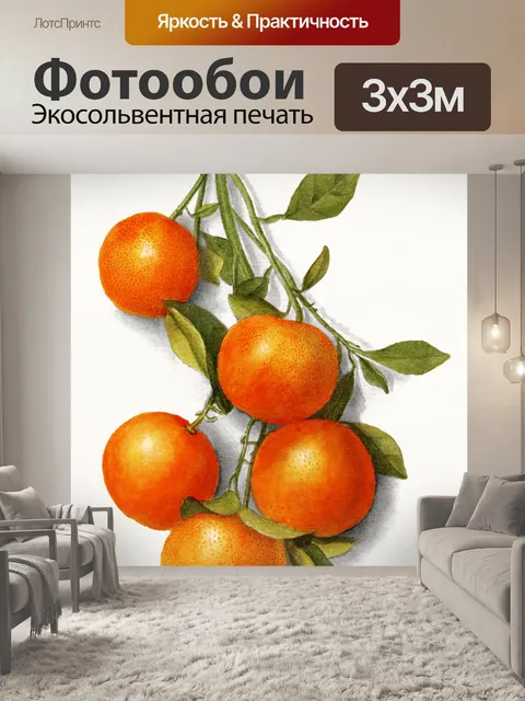 Фотообои Апельсин Фрукты Винтаж