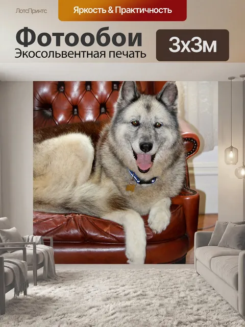 Фотообои Город собак