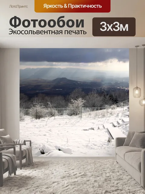 Фотообои Зимний сад