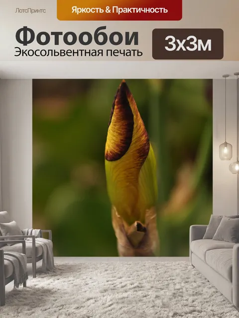 Фотообои Цветы