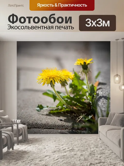 Фотообои Цветок