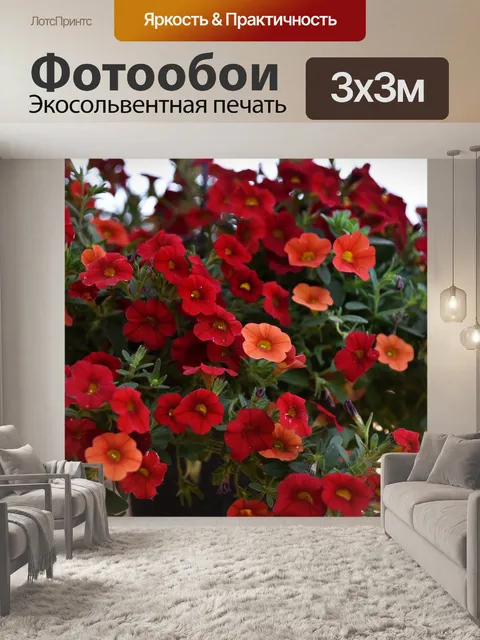 Фотообои Красные цветы
