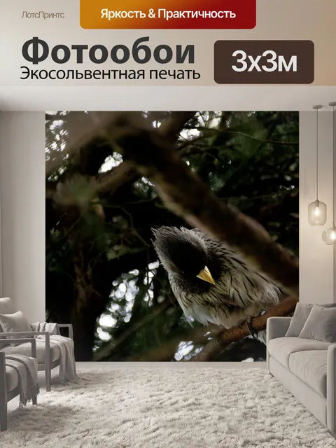 Фотообои Птица в дереве