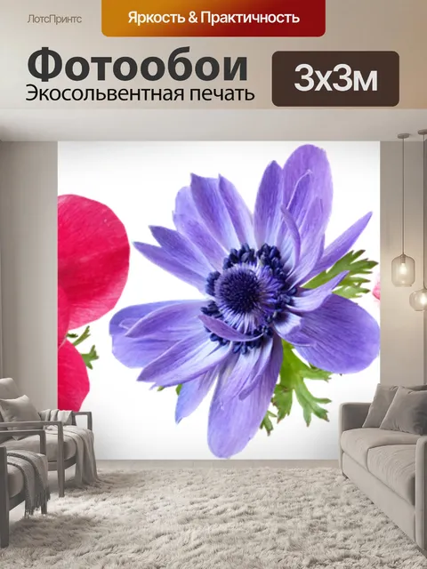 Фотообои Цветы