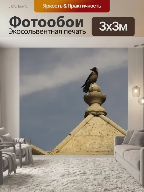 Фотообои Птица